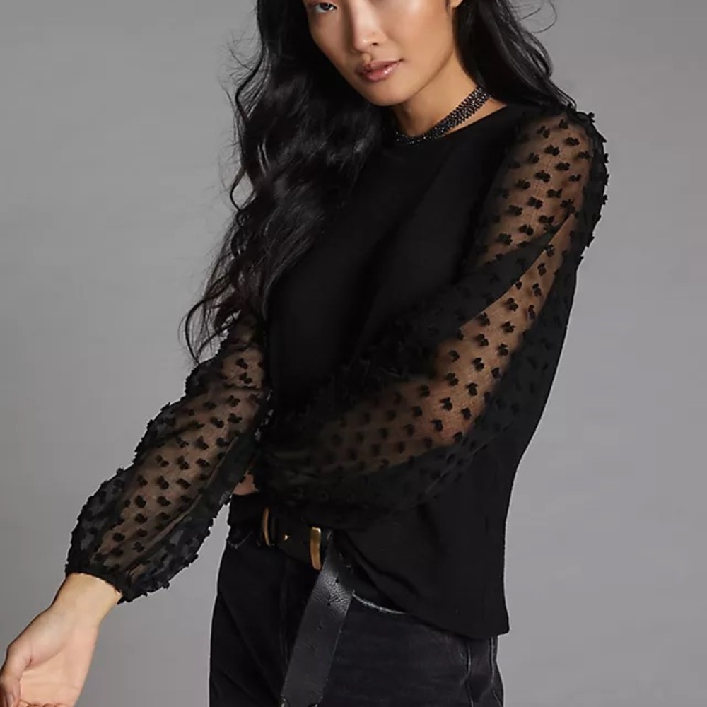 Anthropologie Black Blouse with Sheer Sleeves
